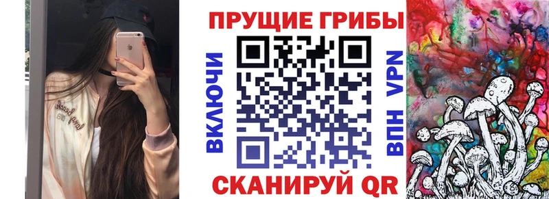 где купить наркоту  Ковров  Галлюциногенные грибы прущие грибы 