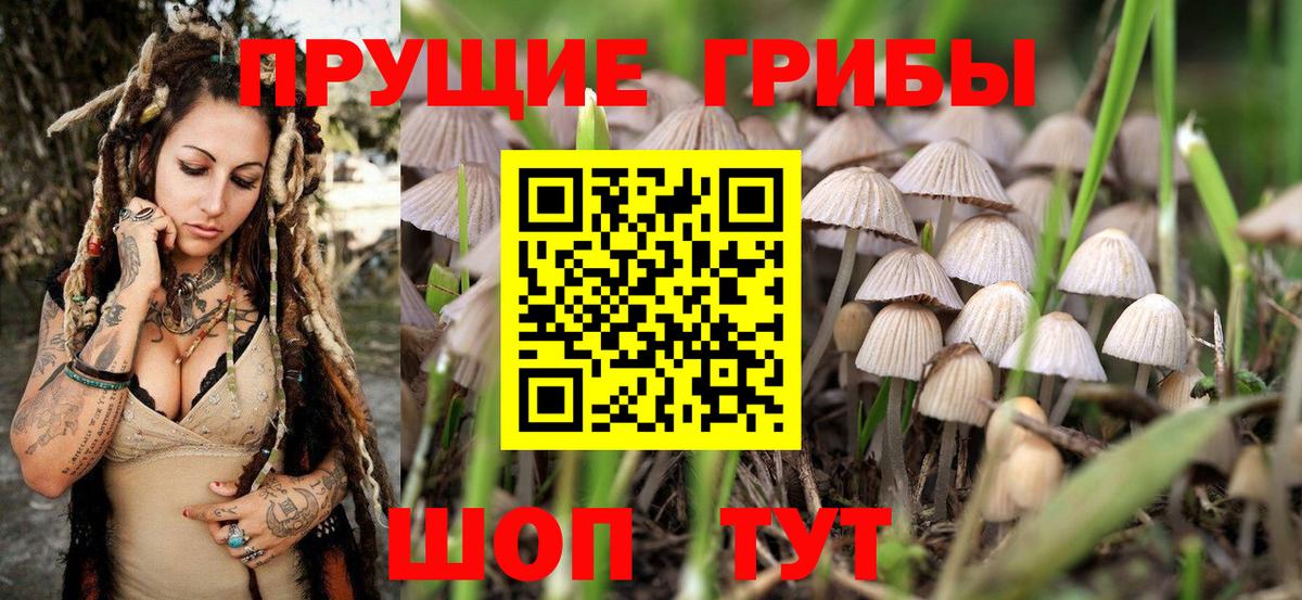 Псилоцибиновые грибы MAGIC MUSHROOMS  Вход с VPN  Ковров 
